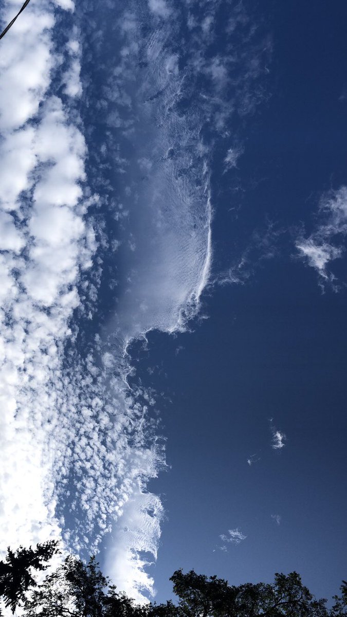 rwogrin's tweet photo. @NWSSeattle very cool clouds this afternoon above Shoreline. What kind are they? https://t.co/FeI7VElbXt