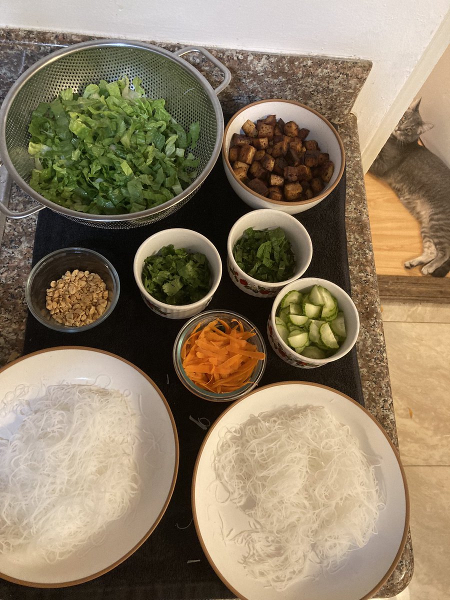arkayehs's tweet photo. and vermicelli bowls for dinner! https://t.co/9M6vpv2fTK