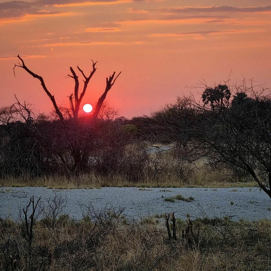 reisememo's tweet photo. The color of Namibia's Sunset ๐
#sunsetsofnamibia #sunsetlovers #sunsetaroundtheworld #namibia #sundowner #namibiasunset #color #visitnamibia #wonderful_places #beautifuldestinations #travelphotography #reisememo https://t.co/KL1HiEA2yH https://t.co/v6lNPb591k