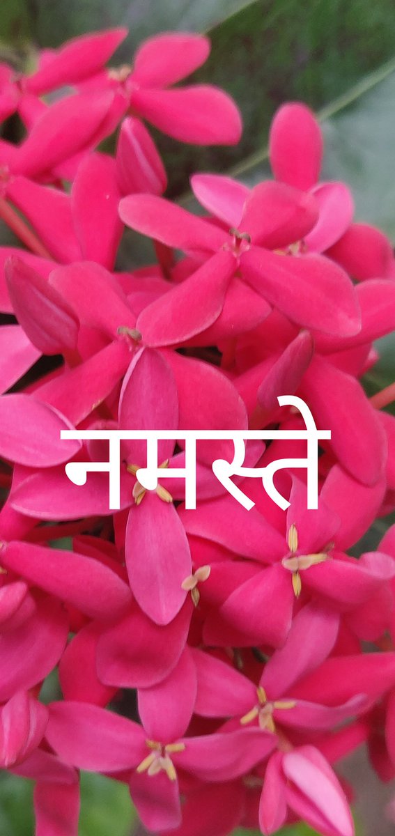 niteeshbaroda's tweet photo. आप सब का दिन मंगलमय हो। https://t.co/QObn4xP4Nt