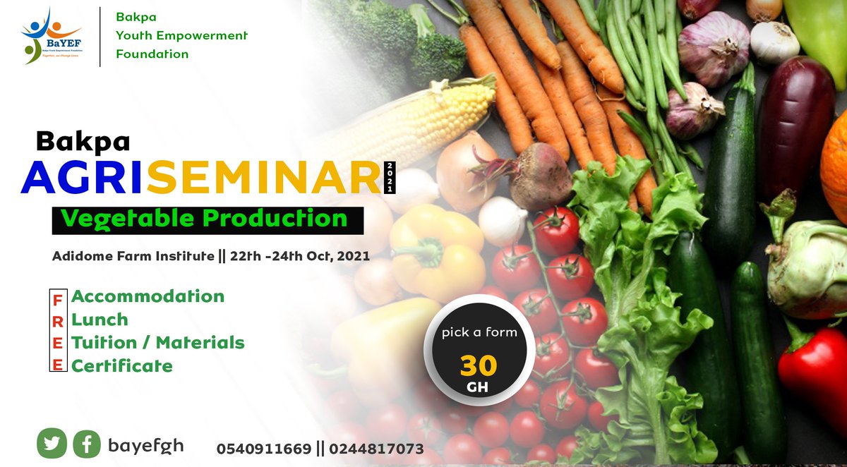 Bayefgh's tweet photo. Empowering Youth through Agriculture.  @IFPRI strengthening the vegetable production capacity for Ghanaian 🇬🇭 Yoth at No cost. @UNDPGhana https://t.co/EynfZWpJWm
