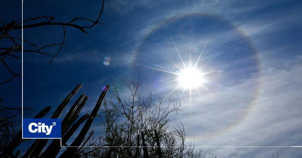 Citytv's tweet photo. 😯 ¿La Tierra se está oscureciendo debido al cambio climático?.  Le contamos 👉 https://t.co/VwOEQfU7n0 https://t.co/ypfRgXsuU2