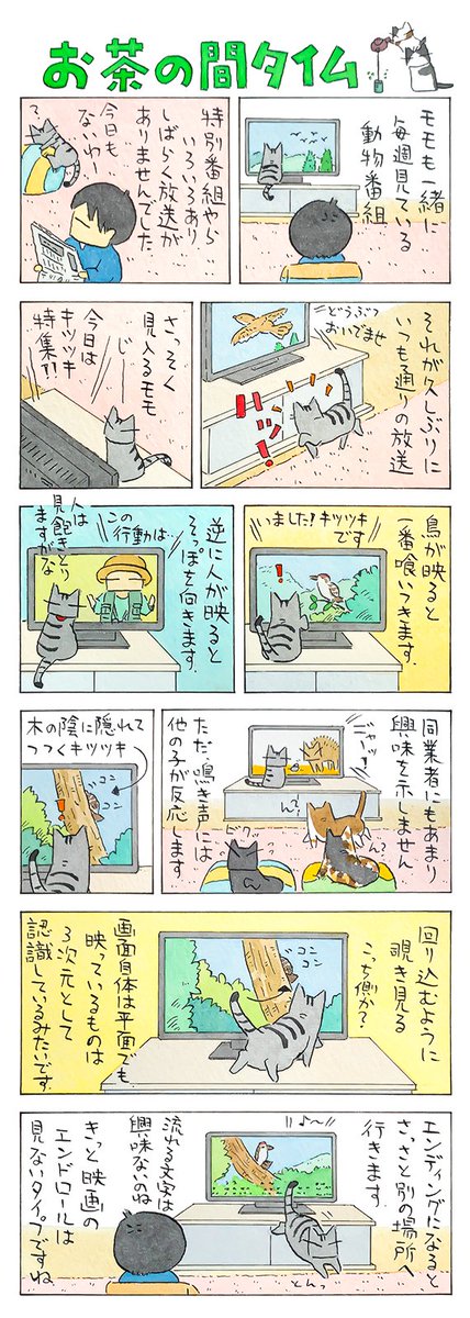 「映ってますよ」
毎週のお楽しみ。
アリーナ席で大満喫。
右へ左へ視線を振って、
さながらバーチャルハンティング。
(久保智昭さんの「猫色スケッチブック」)他一枚更新しています。⇒https://t.co/13LpbQfWZ7