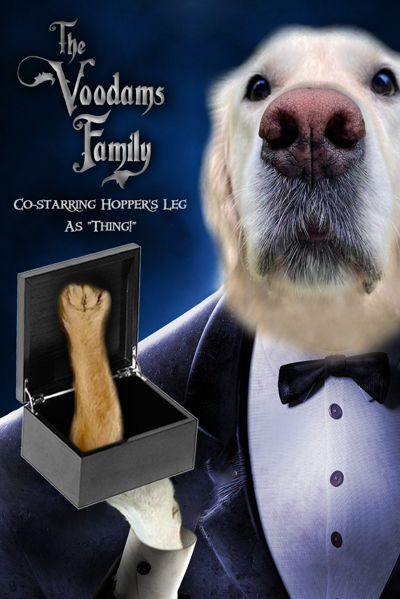 GRDialogs's tweet photo. "The Voodams Family"

...featuring #HoppersLeg 🤍💛⚰️🎃

#CinemaVoods
#VoodsTV
@VoodsFoods 
@TheGoldenRatio4 https://t.co/glXfeHyBIU