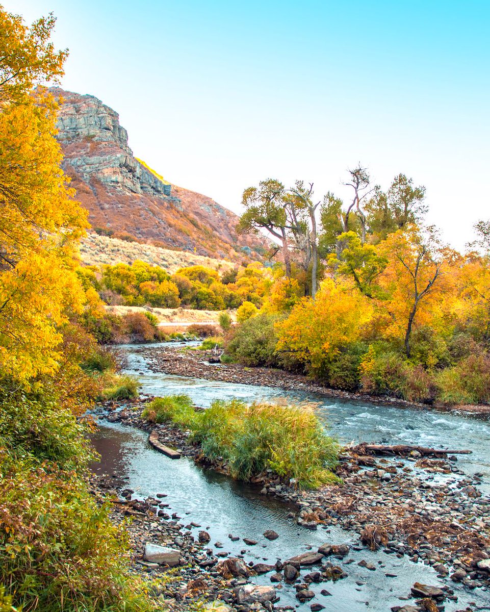 VisitUtahValley's tweet photo. Fall has arrived on the Provo River ๐ ๐
#exploreutahvalley #utah #utahisrad #provorocks #provoriver #visitutah #fall https://t.co/wpa2XbGr35