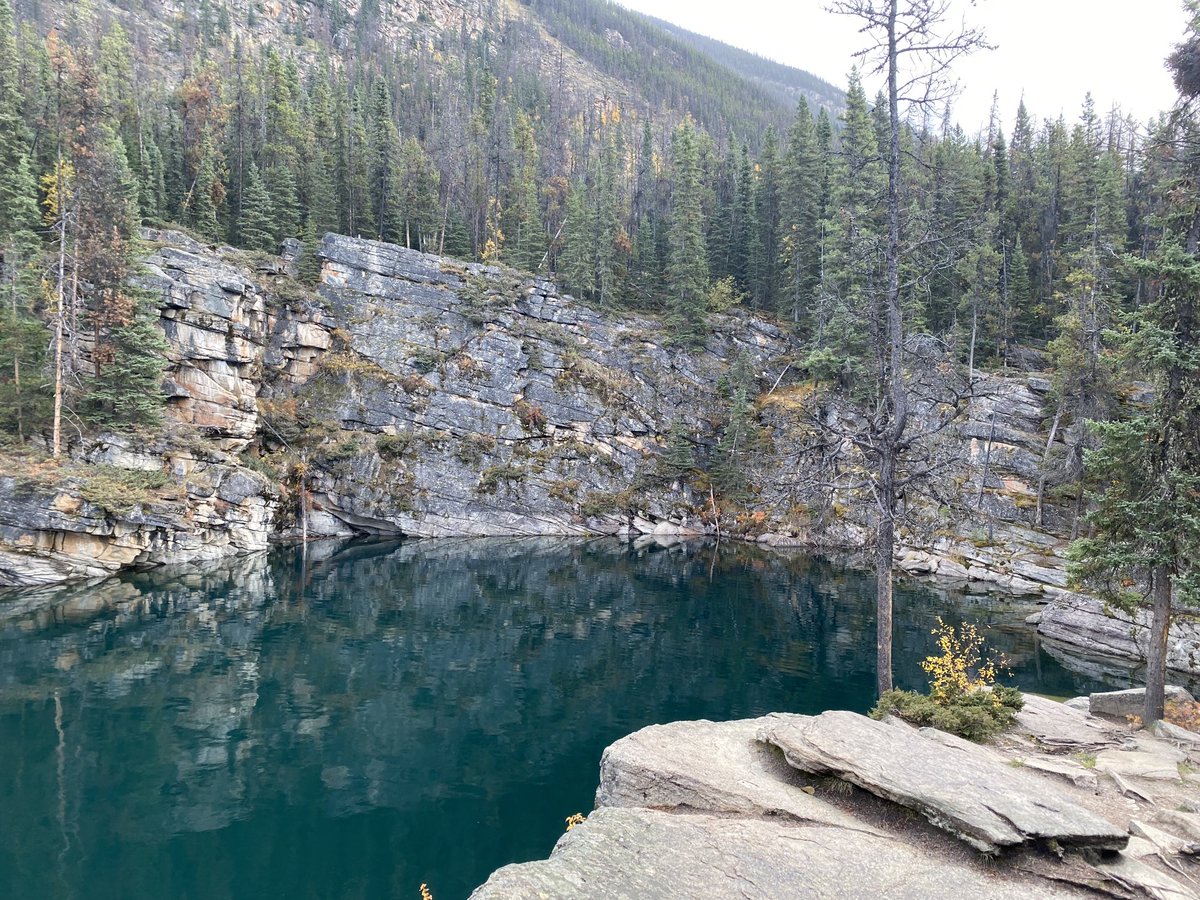nancybaker72's tweet photo. Jasper ⛰ https://t.co/GUDOkcqeZy