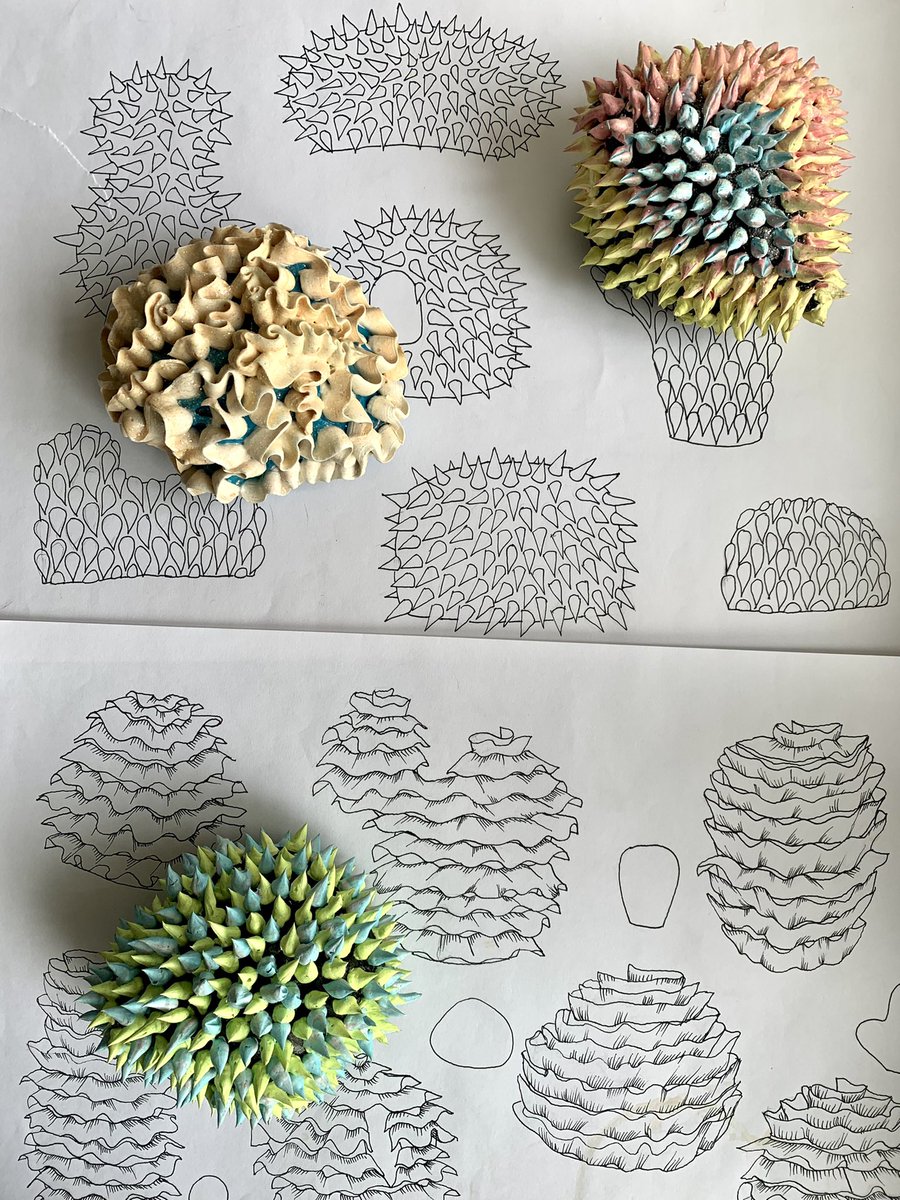katrina_10514's tweet photo. Reorganising the studio/work space 🥰 with some Ernst Haeckel inspired pieces, 2018 Archives 
‘The unconventional’ research of an ever evolving practice 
#materiality #sculpture #space #art #design #ernsthaeckel #zoologist #marinebiologist #professor #sketches #newweekready https://t.co/1L7AExuuuL