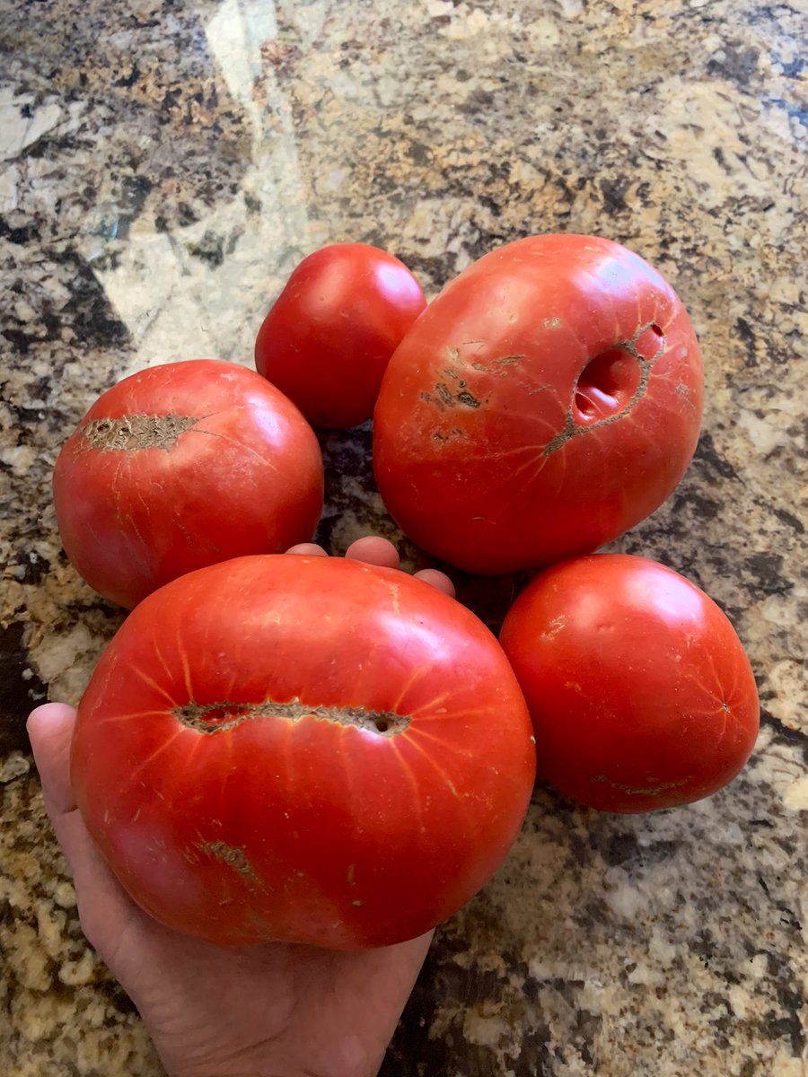 G business tweet media