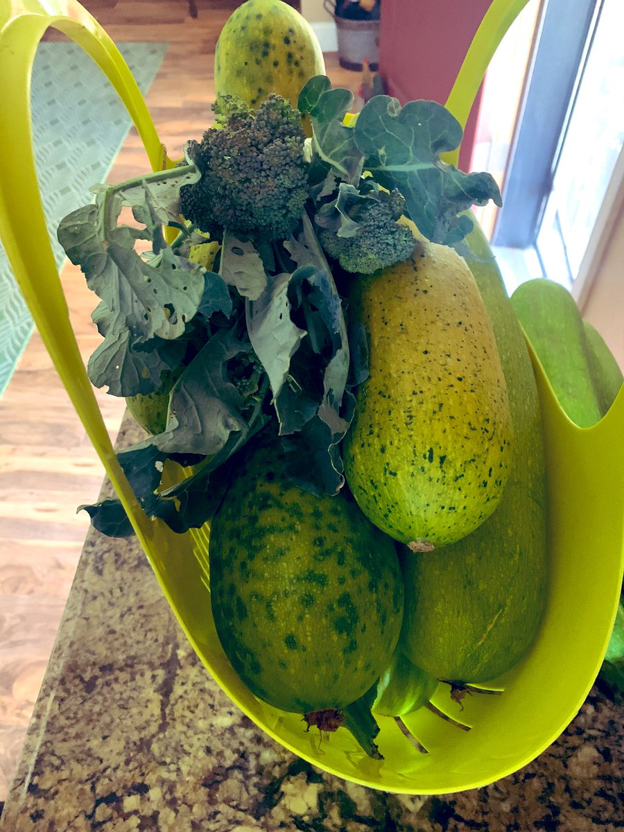 G business tweet media