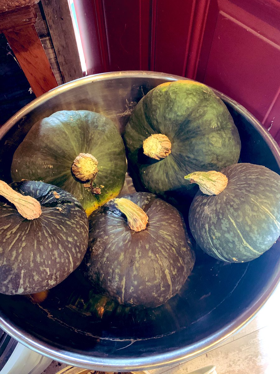 G business tweet media