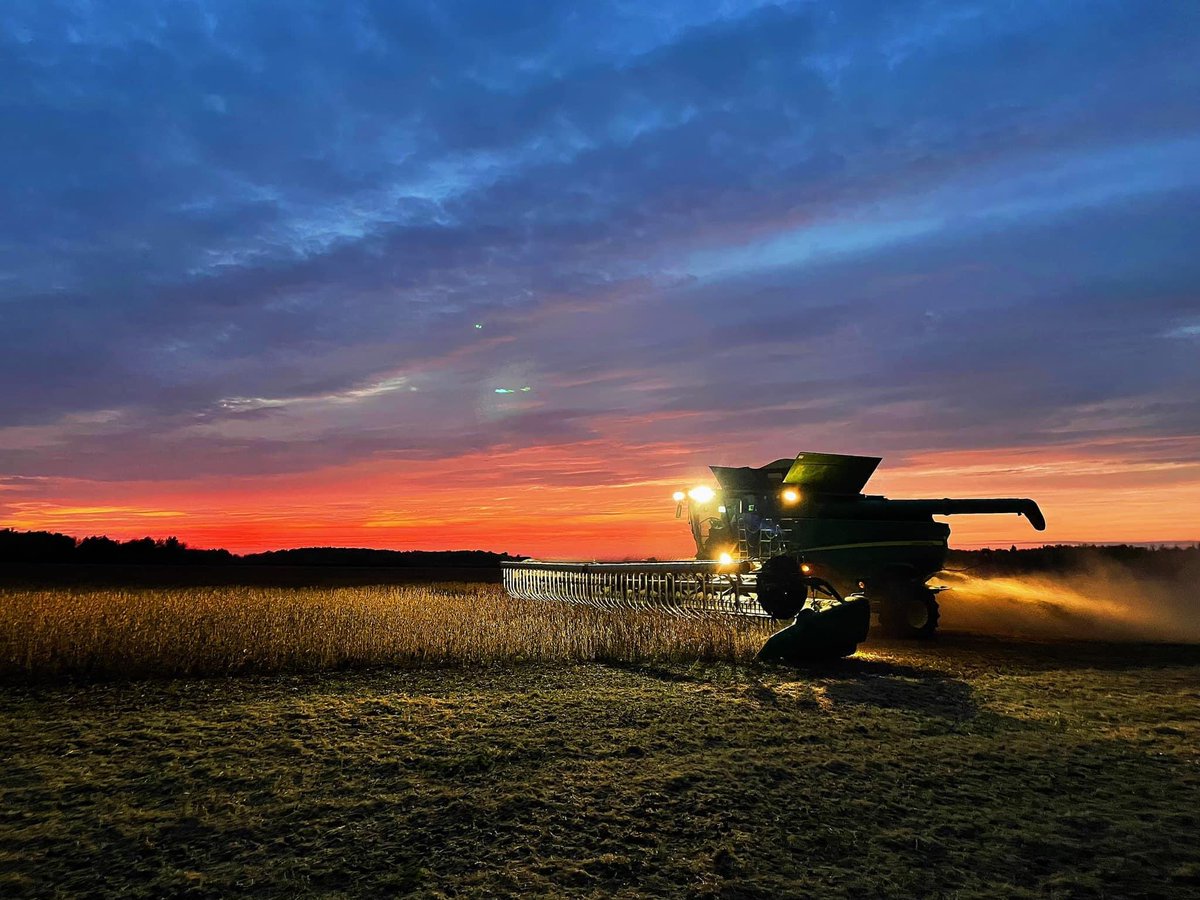 HaugenFamFarms's tweet photo. …and just like that, #harvest2021 is complete.
#HaugenFamilyFarms
#Minnesota
#AgTwitter
📸: Steph Haugen https://t.co/c2PHEAIybD