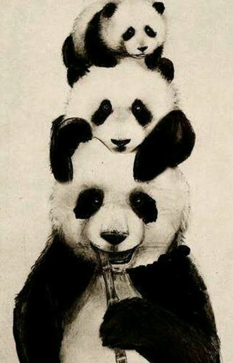 castellanosce_'s tweet photo. 🐼 https://t.co/TWrbsHBwoy