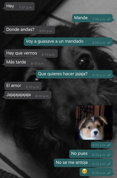 Otro 😍 https://t.co/fFns8zyorI<a href="/tag/newprofilepic"class="tags"><span>#newprofilepic</span></a>