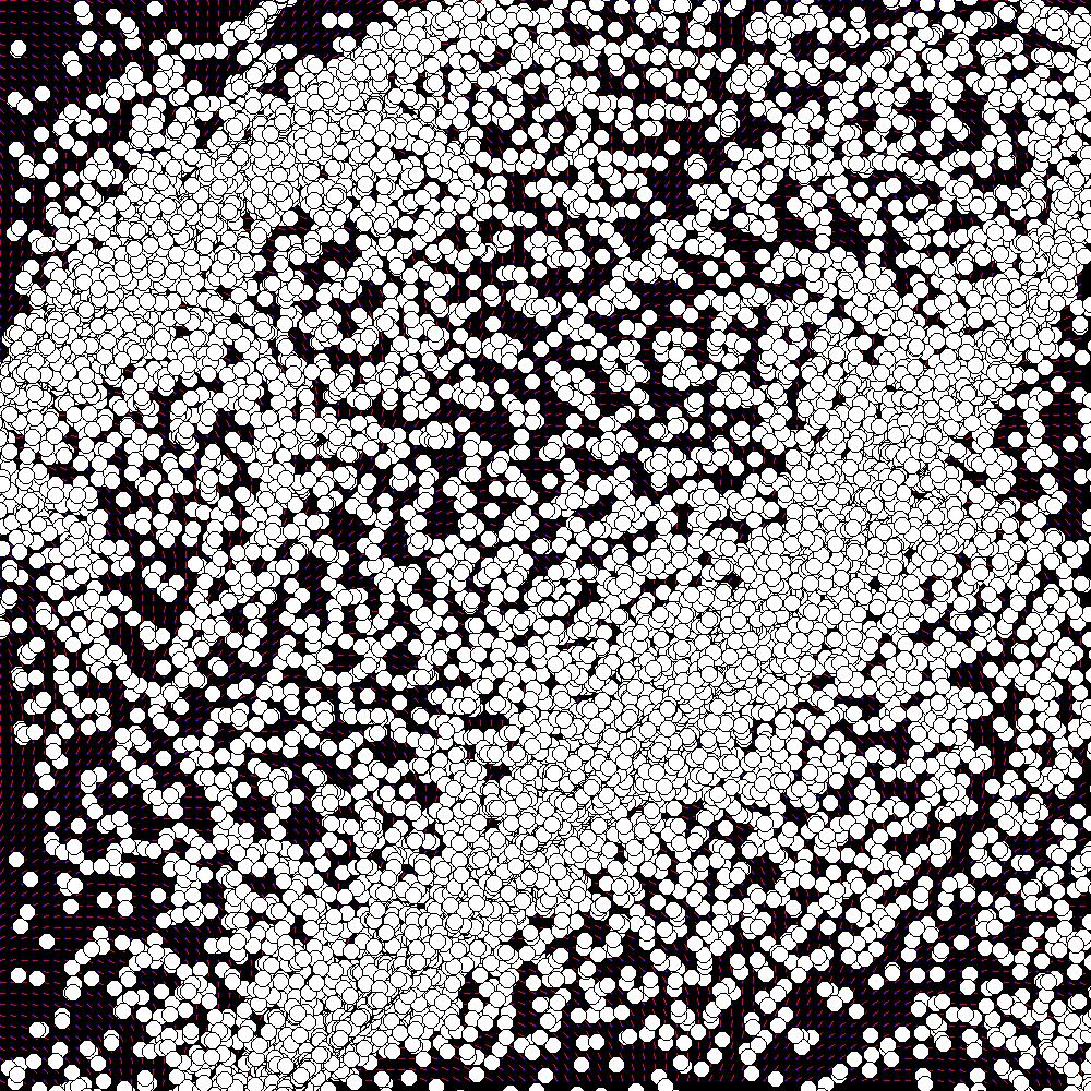 david_mar's tweet image. #flowfields 1950 dots randomly placed, walking stepping across a field 20 steps before dying, with a distance between each steps of 50.