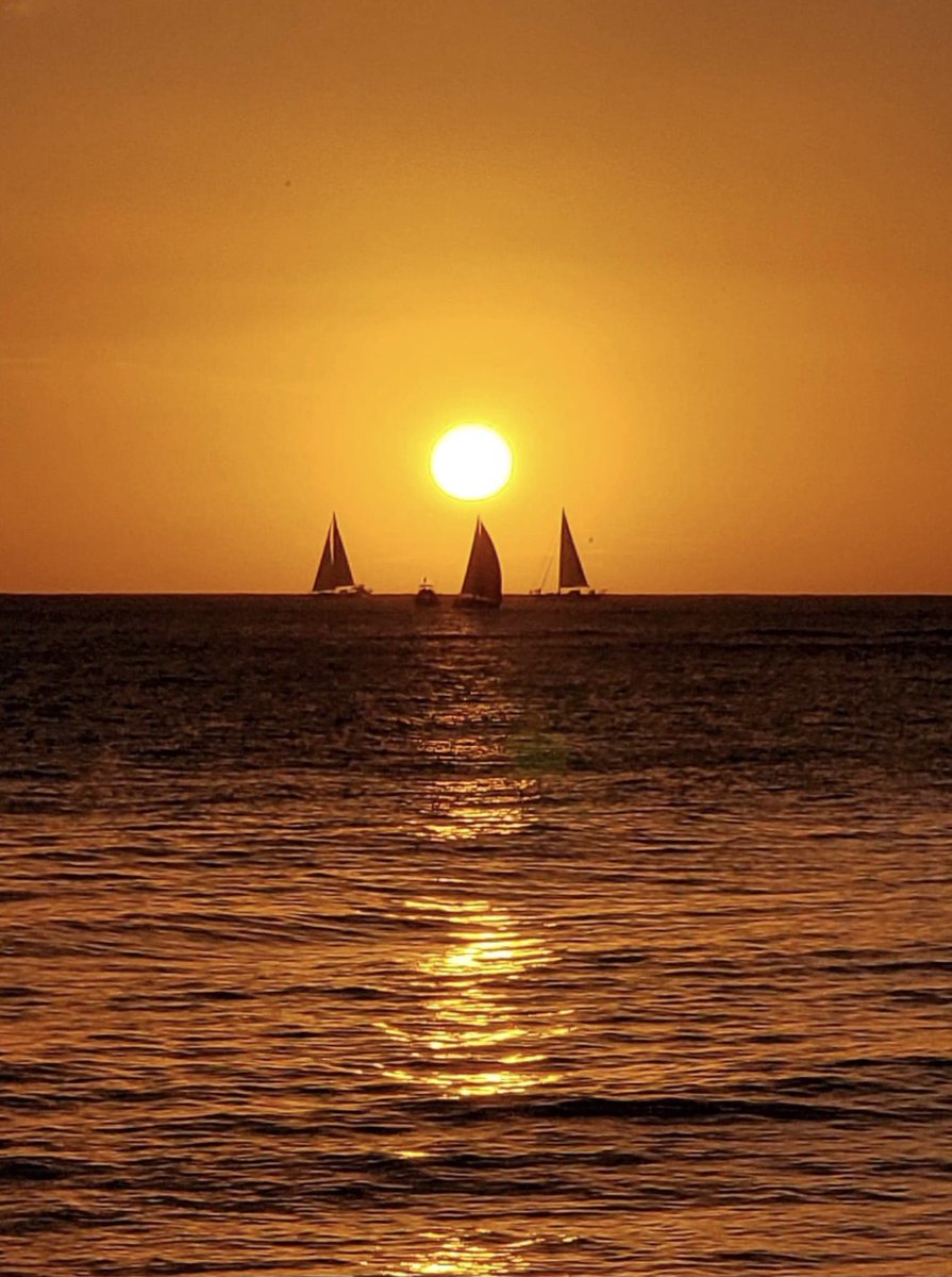 TracyIt99's tweet photo. #retweetsarefree
“Take me block to paradise”
Image creations by Tracyit
Relax and enjoy a moment here at https://t.co/aPkqpExRe6
#MyLittleEye #tracyit #nftphotography #digitalart https://t.co/BFKA9v7I5x