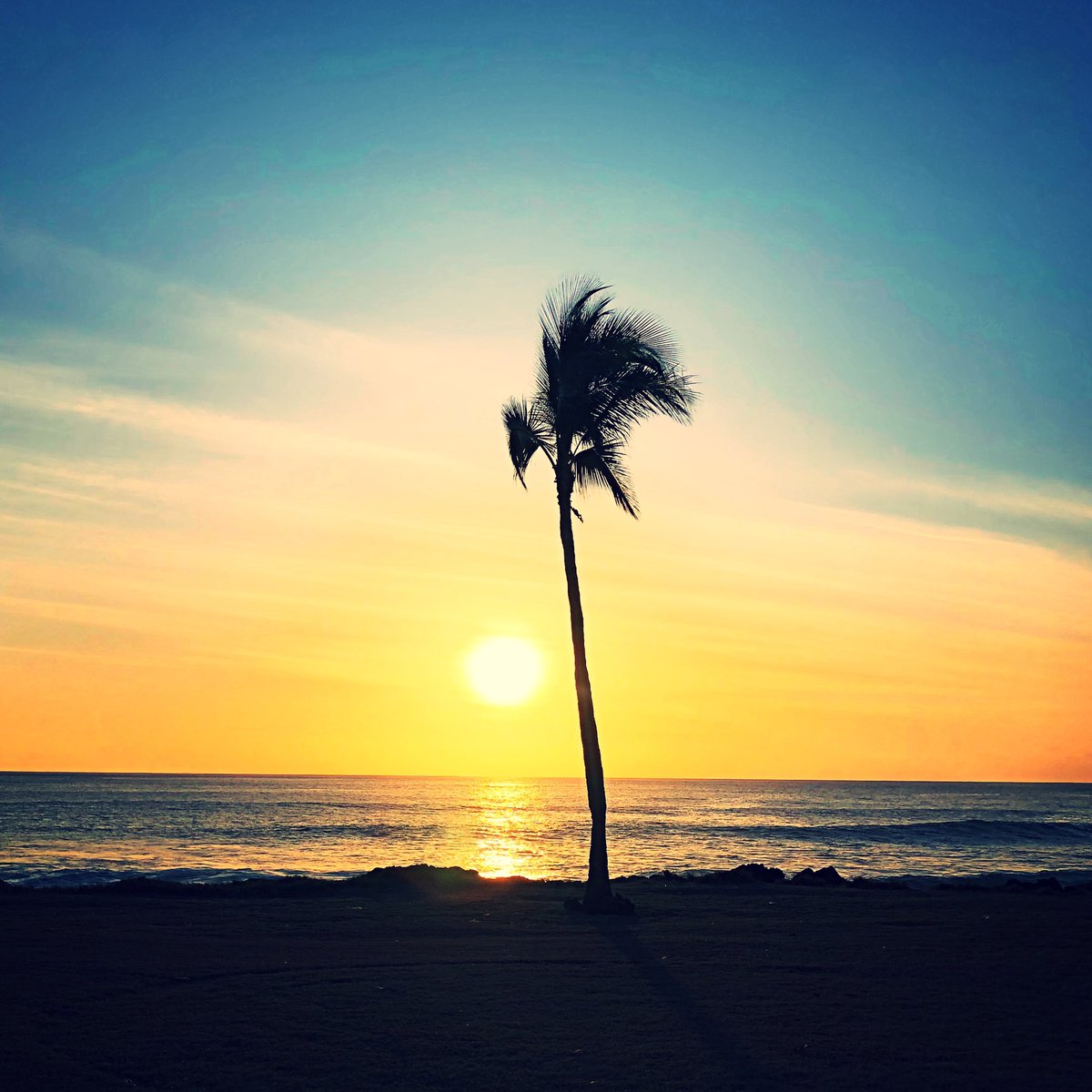 TracyIt99's tweet photo. #retweetsarefree
“Take me block to paradise”
Image creations by Tracyit
Relax and enjoy a moment here at https://t.co/aPkqpExRe6
#MyLittleEye #tracyit #nftphotography #digitalart https://t.co/BFKA9v7I5x