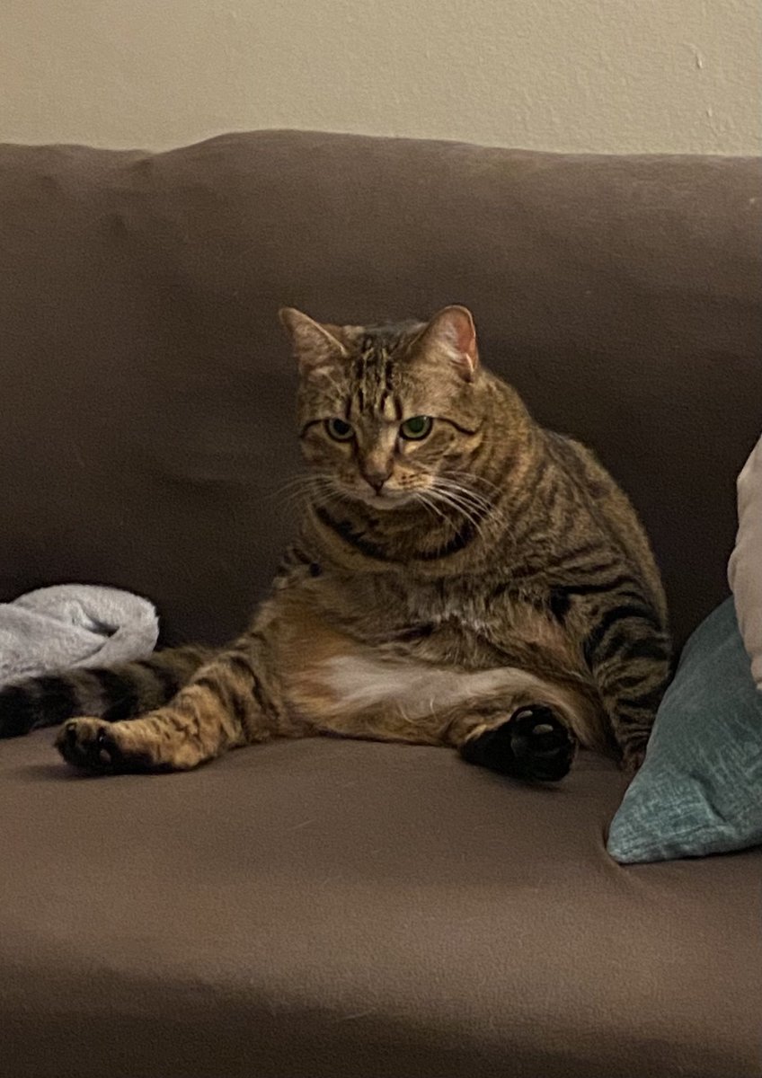 imalittlecheye's tweet photo. Looks like she’s going through something https://t.co/T83qfFO4CH
