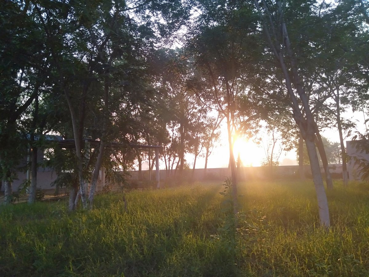 bedwal_ashish's tweet photo. 🥰💓🥰 “कोई नही था, कोई नही होगा, तुमसे ज्यादा मेरे दिल के करीब।” 🥰💓🥰 

#गुडमॉर्निंग
#Happy_Birthday_Pradhan_Ji

💐💐🌹🌹
#happysunday
#goodmorning
#naturelover
#PhotoOfTheDay https://t.co/3OL5CIZRka