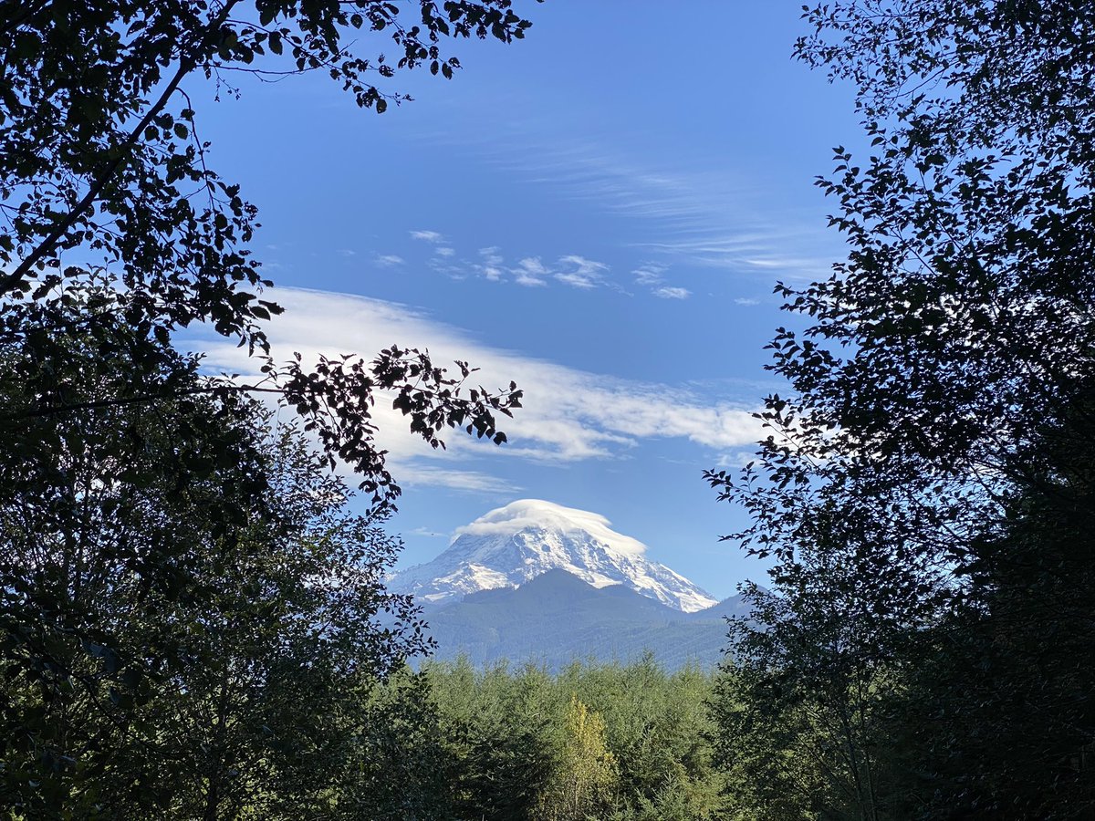 The Mountain is out. 
View from today’s drive to Mowich Lake, WA. <a href="/MtRainierWatch/">Rainier Watch Supply Co 🏔</a> @AltMtRainier