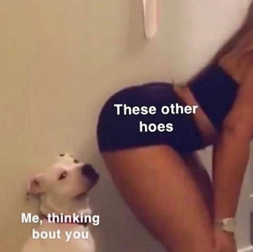 urfavsalvi's tweet image. 