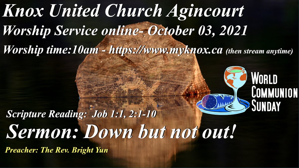 Knox United Church Agincourt tweet media