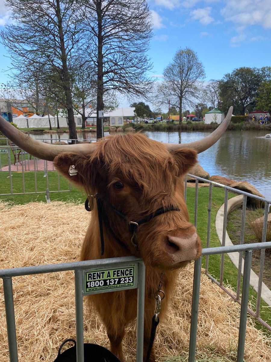 PerthKiltRunWA's tweet photo. Great day here at #perthkiltrun https://t.co/bug7hFVL9b