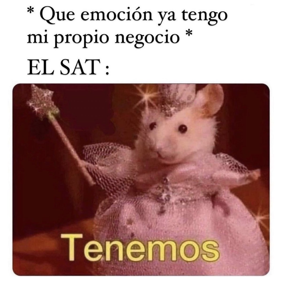 Antes de dormir… y para todos mis amigos empresarios y emprendedores les dejo esta imagen para que se rían 😂😜.