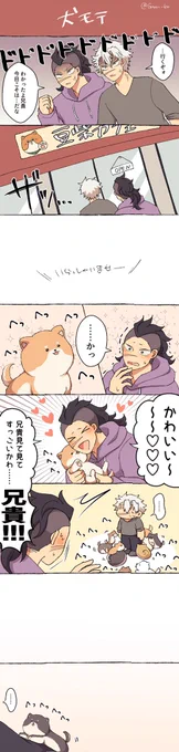 リクエストより「豆柴カフェに行くさねげん、豆柴に群がられるさねみ」でした🐶💕💕!!! 