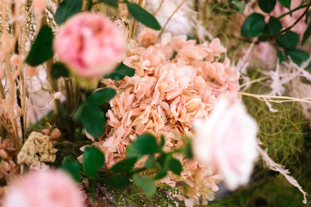 MrsPandP's tweet photo. A beautiful pastel pink inspired Wedding with nods to the Mother/Daughter Bond and Breast Cancer survival
Images 📸 @PoppySageBris 
https://t.co/69nXYAw1hm at @GabbinbarH  Flowers https://t.co/szLAhrqxBf 
#pastelpinkwedding #ballet #motheranddaughterbond #breastcancerawareness https://t.co/RlOm6Pbrw9