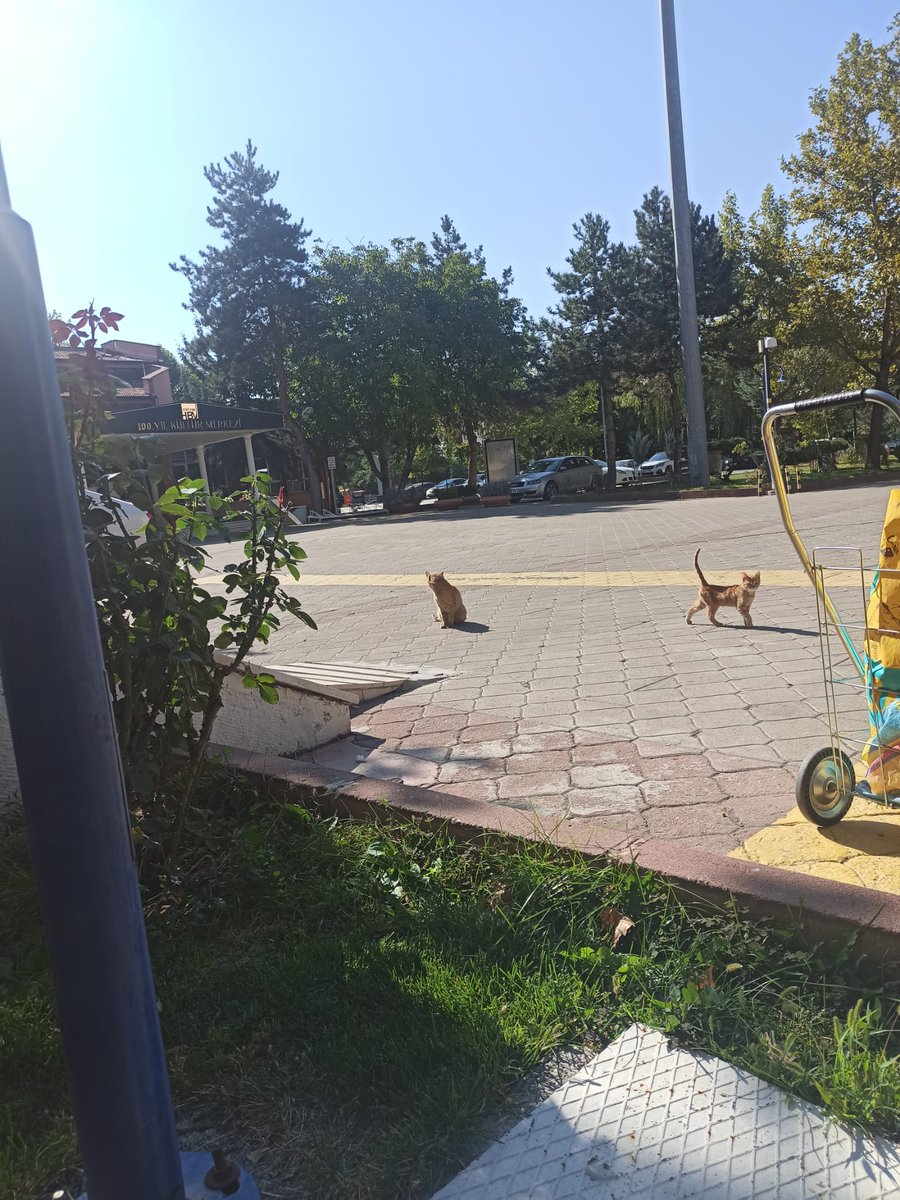 Kampüslere döndük 🥳🥳🥳🥳