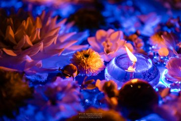 Photographer Captures Stunning Shots Of Sea Of Flowers At Shrine S Purification Fountain Grape Japan