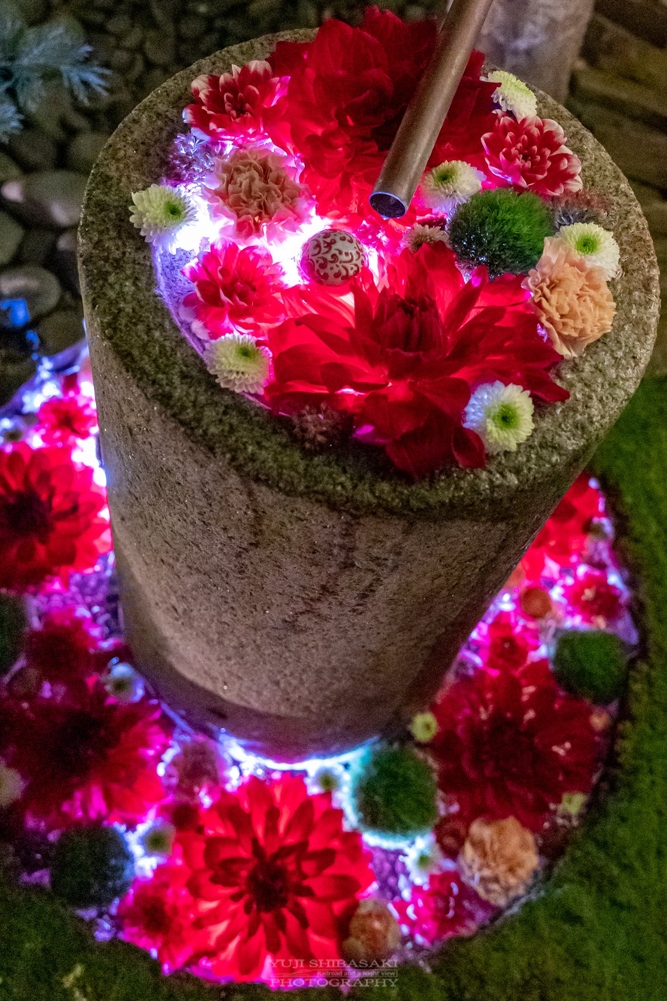 Yuji Shibasaki Photo 行田八幡神社の花手水ライトアップ ロウソクの灯も相まって幻想的でした 行田花手水week 行田八幡神社 T Co 9rv4t03wm0 Twitter