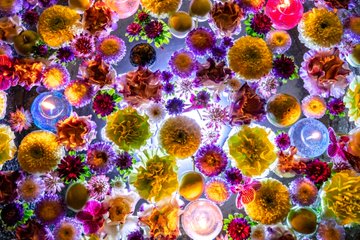 Photographer Captures Stunning Shots Of Sea Of Flowers At Shrine S Purification Fountain Grape Japan