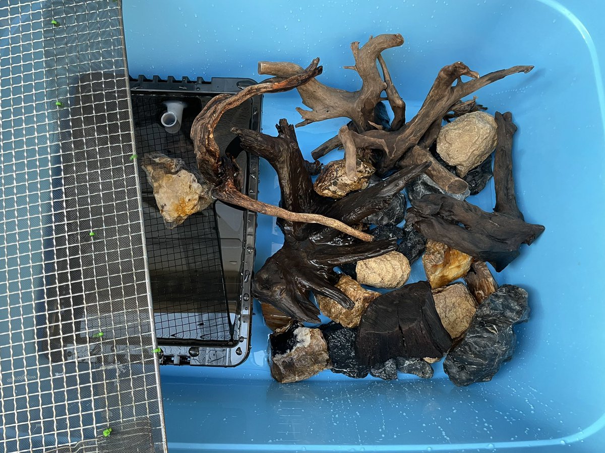 紙袋 カニを屋外で飼育する用のケージを作った メダカ飼育用のオーバーフロー水槽を水入れにして蓋はバーベキューネットに網戸の生地を張ったやつ 紙袋 カニを屋外で飼育する用のケージを作った メダカ飼育用のオーバーフロー水槽を水入れにして蓋はバーベキューネットに網戸の生地を張ったやつ