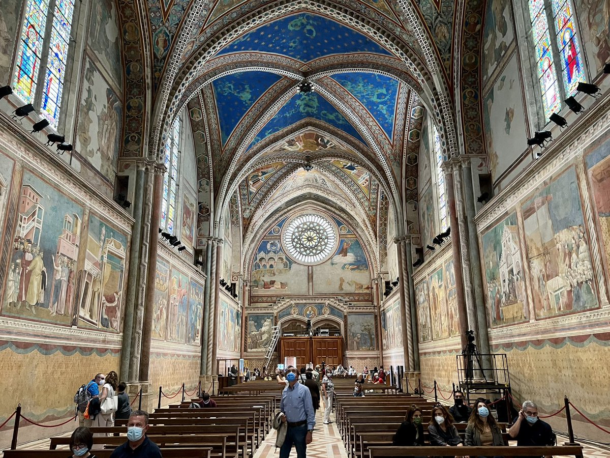 Domenico Colucci tweet media