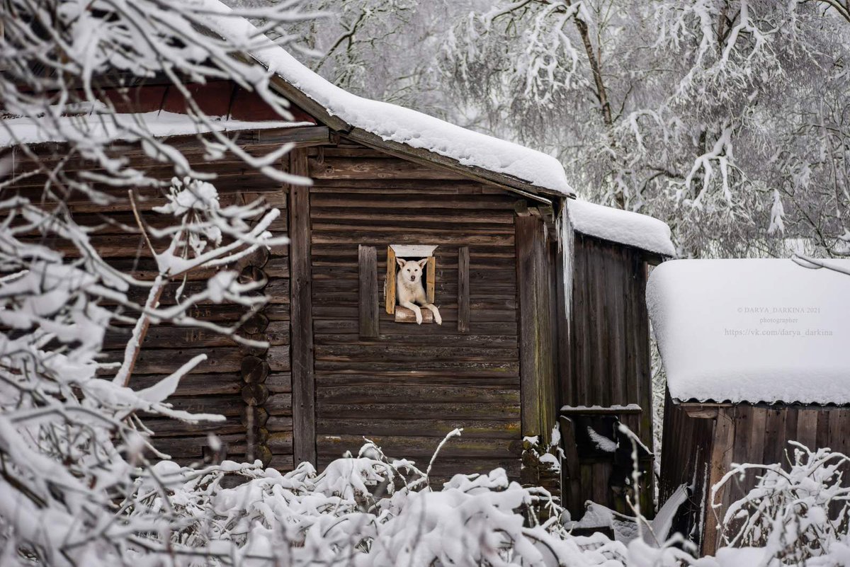 An evil man cannot be happy, for when he is alone with himself, he is alone with the villain. 
Immanuel Kant #qoutes #kant #immanuelkank #humanity