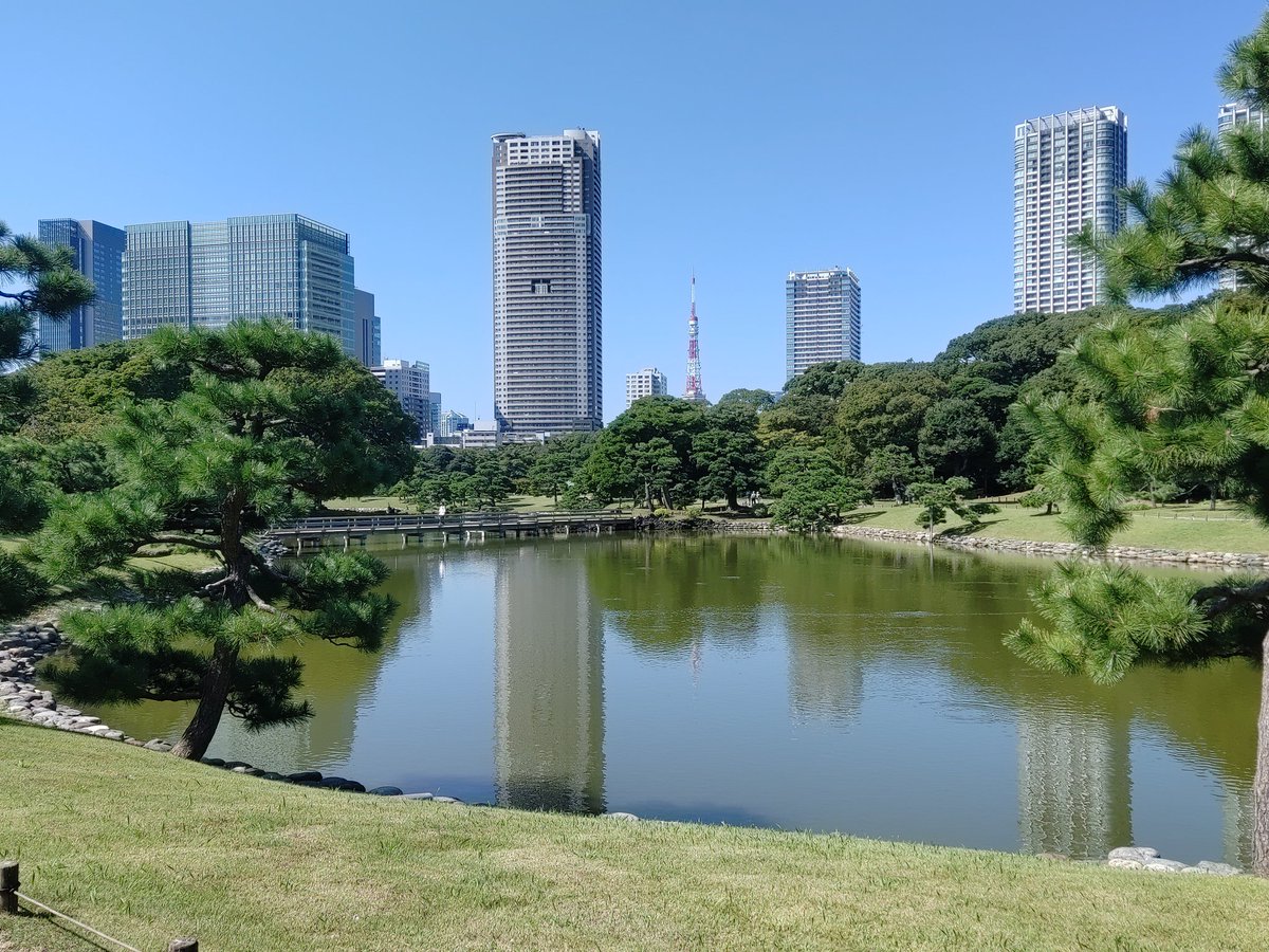 nomoto3's tweet photo. 昨日TVで浜離宮庭園からの中継番組を見て、直ぐ入園予約を入れて今日行って来た。規制の無い初めての日曜で人出も一段と多かった。のんびり散策できて開放感が半端ないし気持ち良かった☀😊 https://t.co/pJ7a8TY6EK