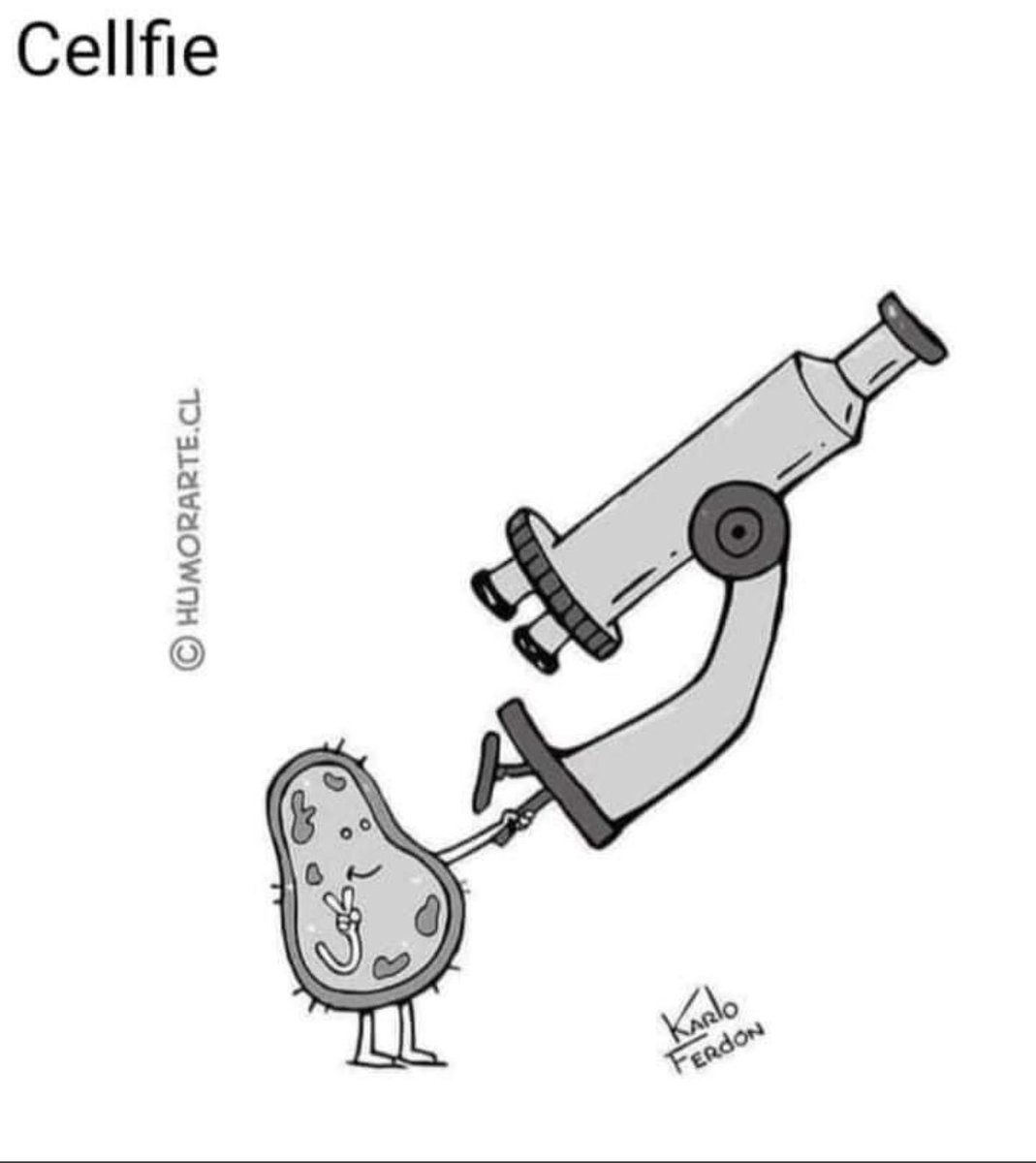 Abdallah81MD's tweet image. Always enjoy life and take a Cellfie