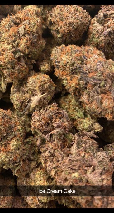 Ice cream cake 🎂 https://t.co/DHOuw9P74o<a href="/tag/me"class="tags"><span>#me</span></a><a href="/tag/video"class="tags"><span>#video</span></a><a href="/tag/sponsor"class="tags"><span>#sponsor</span></a><a href="/tag/europe"class="tags"><span>#europe</span></a><a href="/tag/sports"class="tags"><span>#sports</span></a><a href="/tag/cali"class="tags"><span>#cali</span></a><a href="/tag/brazil"class="tags"><span>#brazil</span></a>