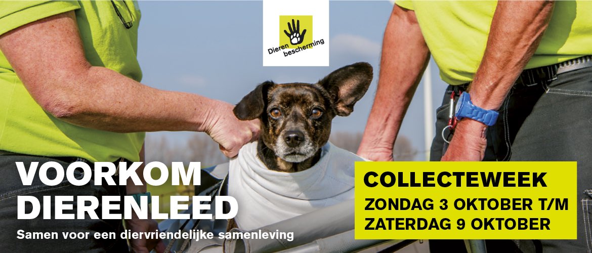 De collecte is een belangrijke bron van inkomsten voor de Dierenbescherming. Met de opbrengst kunnen we ons werk blijven doen en dierenleed bestrijden. Help je mee?

Ieder bedrag, groot of klein, is welkom! 

qr3.ideal.nl/ae031562-7386-…
