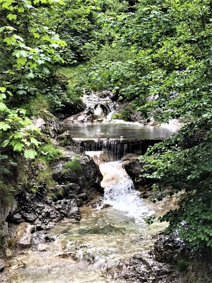 Greenisamissio1's tweet photo. So, we all know by now that we are in a climate crisis. It will take about 5 to 10 years to transform the energy sector worldwide so that everyone can be brought along. We should now first and foremost look for solutions that increase the binding of Co². That means more forests. https://t.co/cSv1aRKe3a