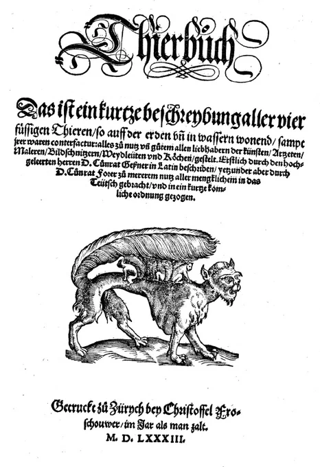 イタチの素性、
コンラート・ゲスナー『博物誌』ドイツ語版1583年の中の1ページっぽい
https://t.co/7RlwU87PaF 