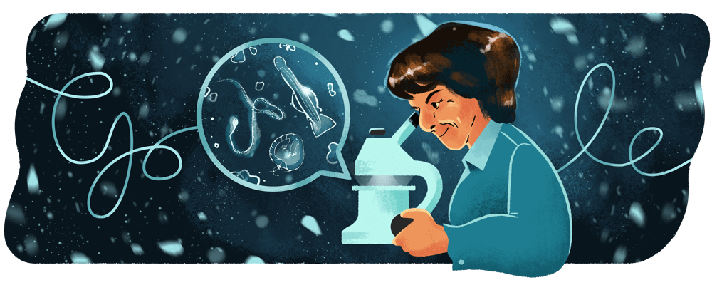 GoogleDoodles's tweet photo. For Spanish-American marine biologist Dr. María de los Ángeles Alvariño González, born &amp; raised on the coast, the ocean was more than just a reminder of home—it was the source of her life's work 🌊

Take a deep dive into her story with #GoogleDoodle → https://t.co/slVQozl3lN https://t.co/KcjhZgWnqj