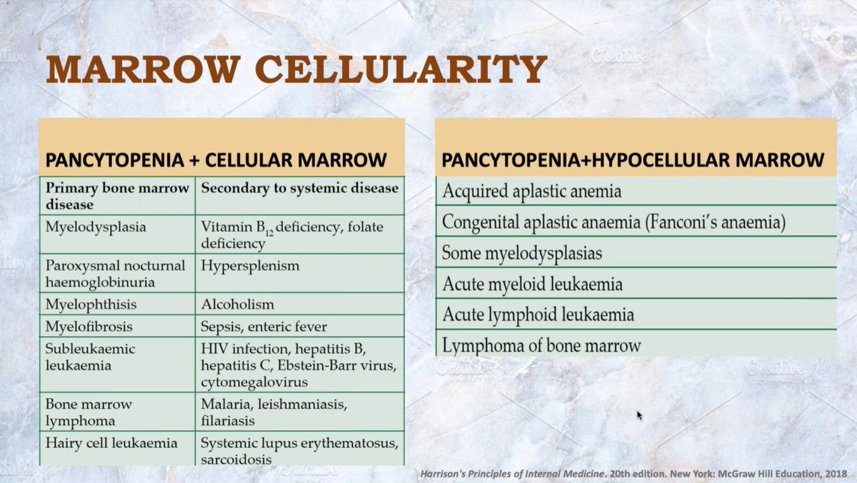 Clinician's Approach to a Case of Pancytopenia by Dr. Shreyas Hanamantgad. 

<a href="/adi_agnihotri/">Aditya Agnihotri 🇮🇳</a> <a href="/VijayPatho/">Vijay Shankar S</a> <a href="/archibhat3/">Archana bhat</a>  <a href="/lovelygeorge10/">Lovely george, MD, PDCC</a> <a href="/Swathiprabhu5/">Swathi Prabhu, MD</a> <a href="/DrVasudevPrabhu/">Vasudev Prabhu🇮🇳</a> <a href="/vi_monappa/">Vidya Monappa</a> <a href="/padmapathology1/">Padma Priya J</a>
#KAPCON2021
