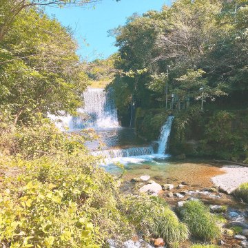 京都 北野天満宮 古の花 のもも氷とは かき氷の食感や風味はまるで本物の桃 Sweetsvillage スイーツビレッジ