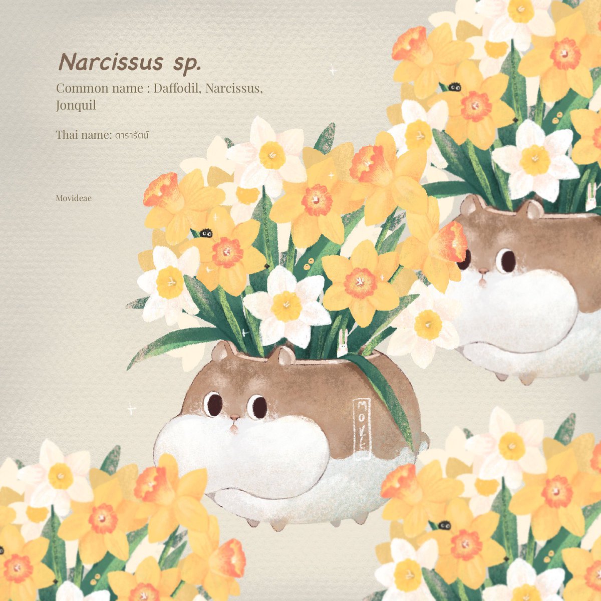 Movideae's tweet photo. #plantober #plantober2021

Day 3: แดฟโฟดิล - Narcissus sp. 

ไม่น่ามีใครไม่รู้จัก แดฟโฟดิล นาร์ซิสซัส และจอนควิลเหล่านี้อยู่ในจีนัส นาร์ซิสซัสหมดเลย เป็นพืชที่มีหัวใต้ดินคล้ายหัวหอม (และโปรดอย่าเข้าใจผิดว่าเป็นหัวหอม) เหมือนว่าสี่ทิศบ้านเราเพราะวงศ์เดียวกัน 

#เจ้าอุ๋ยเล่าเรื่อง https://t.co/GnQGL7k4Gg