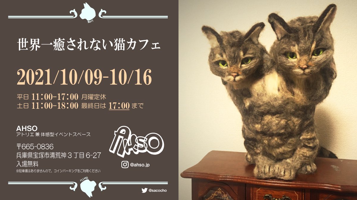 猫カフェのはじまりはじまり 世界一癒されない猫カフェが兵庫県宝塚市で開催中 本当に癒やされなさそうな感じがすごい Togetter