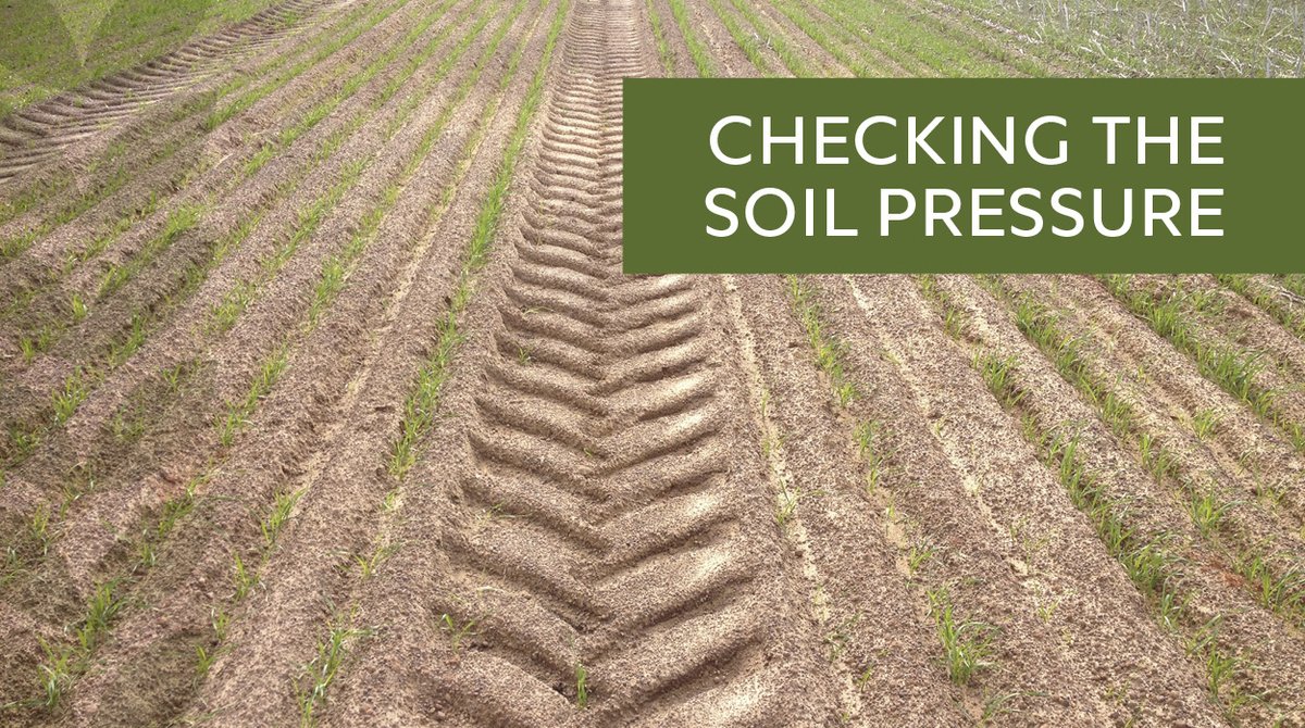 InGrainAUS tweet media