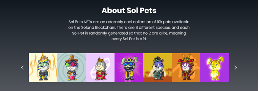 Free Pets NFT (MINT TBD) tweet media