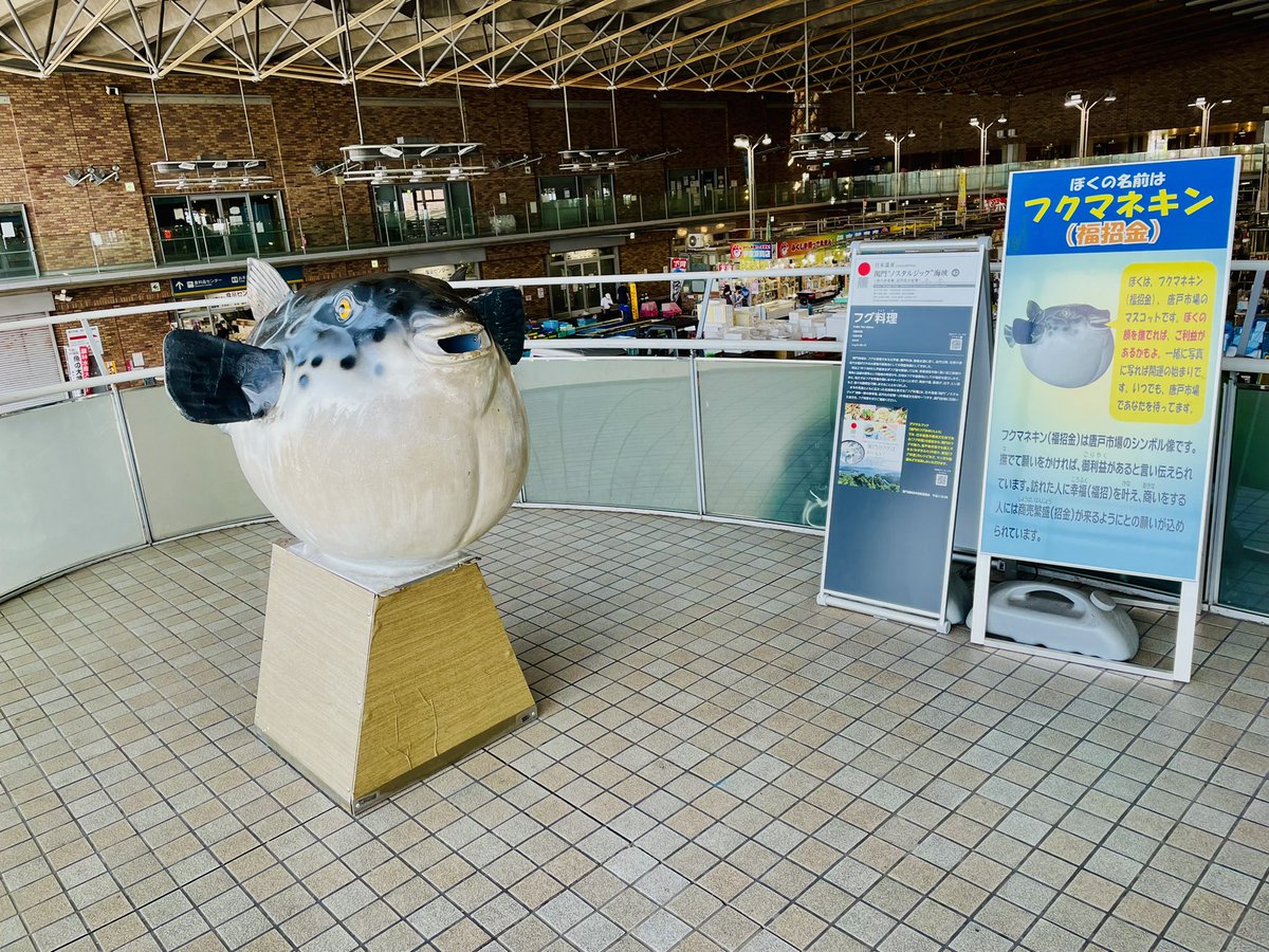rets0tks's tweet photo. さらば下関
さらばふぐ

またふぐ食べに来たい https://t.co/co27LpZqWV